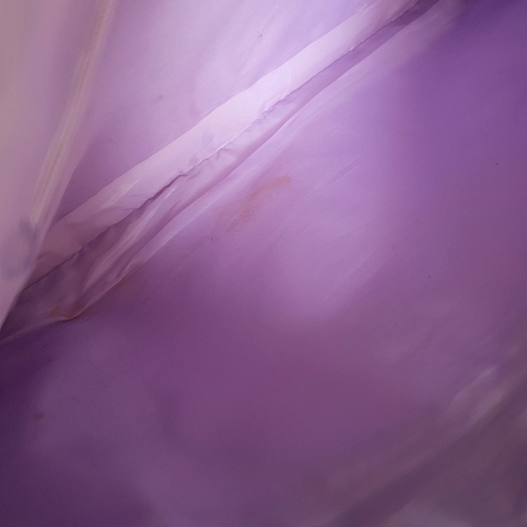 Two Snakeskin Printed bags - Picture 5 of 7